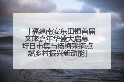 福建南安东田镇首届文旅嘉年华盛大启幕 圩日市集与杨梅采摘点燃乡村振兴新动能