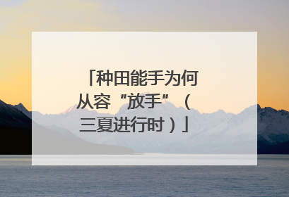 种田能手为何从容“放手”（三夏进行时）