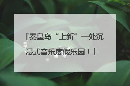 秦皇岛“上新”一处沉浸式音乐度假乐园！