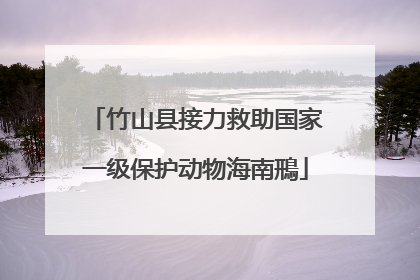 竹山县接力救助国家一级保护动物海南鳽
