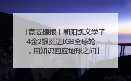 竞赛捷报丨朝阳凯文学子4金2银挺进IGB全球轮，用知识回应地球之问