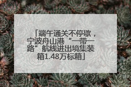 端午通关不停歇，宁波舟山港“一带一路”航线进出境集装箱1.48万标箱