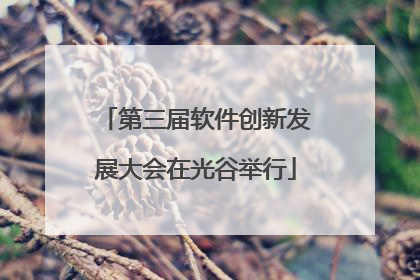 第三届软件创新发展大会在光谷举行