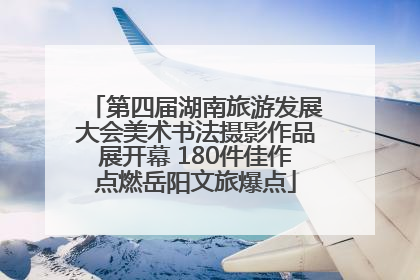 第四届湖南旅游发展大会美术书法摄影作品展开幕 180件佳作点燃岳阳文旅爆点