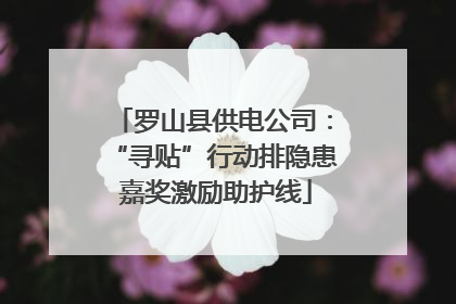 罗山县供电公司：“寻贴”行动排隐患 嘉奖激励助护线