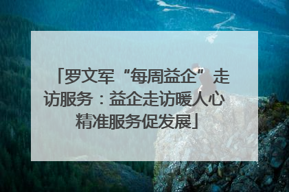 罗文军“每周益企”走访服务：益企走访暖人心 精准服务促发展