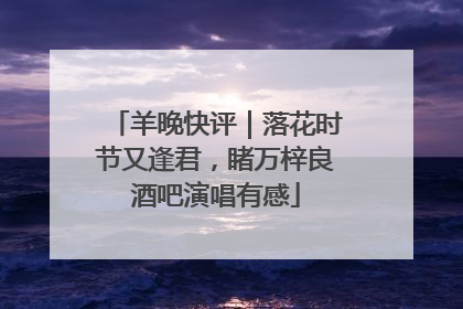 羊晚快评｜落花时节又逢君，睹万梓良酒吧演唱有感