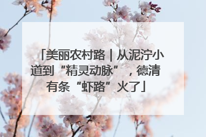美丽农村路｜从泥泞小道到“精灵动脉”，德清有条“虾路”火了