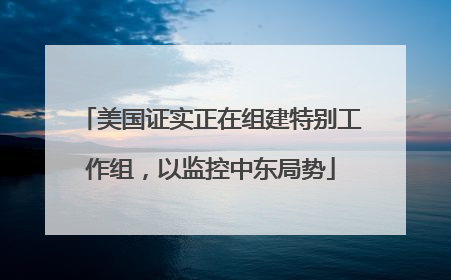 美国证实正在组建特别工作组，以监控中东局势