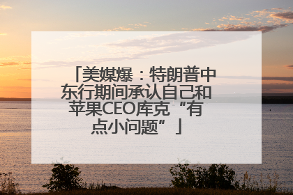 美媒爆：特朗普中东行期间承认自己和苹果CEO库克“有点小问题”