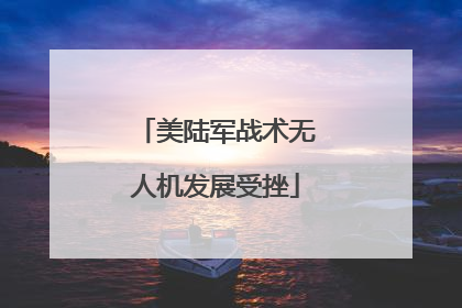 美陆军战术无人机发展受挫