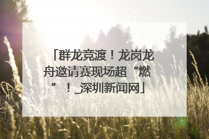 群龙竞渡！龙岗龙舟邀请赛现场超“燃”！_深圳新闻网