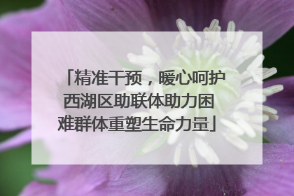 精准干预，暖心呵护 西湖区助联体助力困难群体重塑生命力量