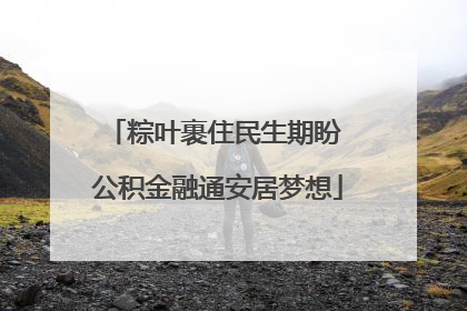 粽叶裹住民生期盼 公积金融通安居梦想