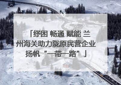 纾困 畅通 赋能 兰州海关助力陇原民营企业扬帆“一带一路”
