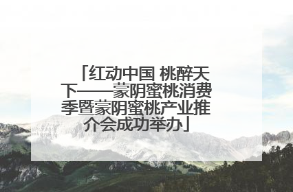 红动中国 桃醉天下——蒙阴蜜桃消费季暨蒙阴蜜桃产业推介会成功举办