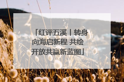 红评五溪丨转身向海启新程 共绘开放共赢新蓝图
