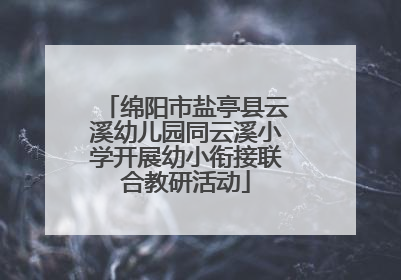 绵阳市盐亭县云溪幼儿园同云溪小学开展幼小衔接联合教研活动