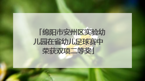 绵阳市安州区实验幼儿园在省幼儿足球赛中荣获双项二等奖