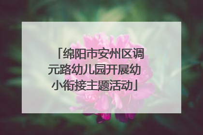 绵阳市安州区调元路幼儿园开展幼小衔接主题活动