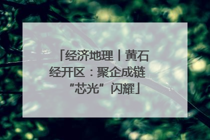 经济地理丨黄石经开区：聚企成链“芯光”闪耀