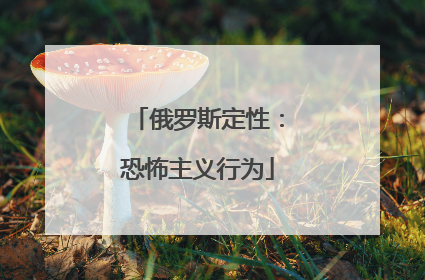 俄罗斯定性：恐怖主义行为