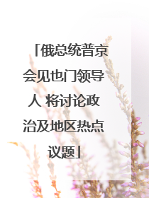 俄总统普京会见也门领导人 将讨论政治及地区热点议题
