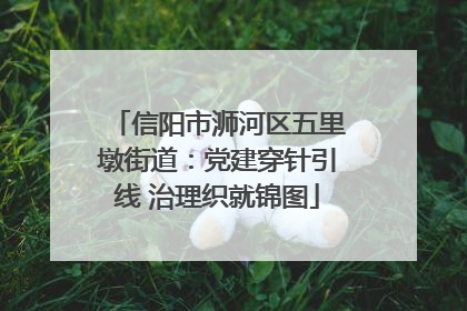 信阳市浉河区五里墩街道：党建穿针引线 治理织就锦图