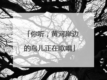 你听，黄河岸边的鸟儿正在歌唱