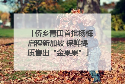 侨乡青田首批杨梅启程新加坡 保鲜提质售出“金果果”