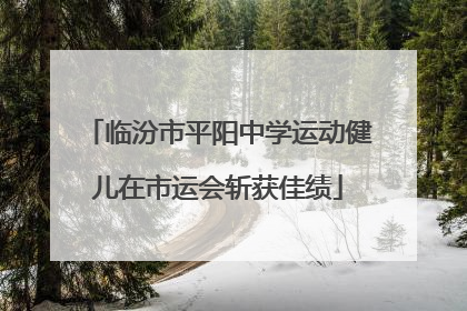 临汾市平阳中学运动健儿在市运会斩获佳绩