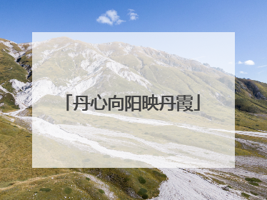 丹心向阳映丹霞