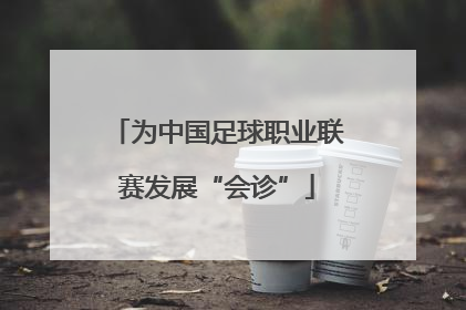 为中国足球职业联赛发展“会诊”