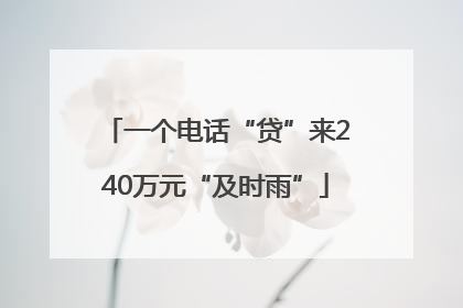 一个电话“贷”来240万元“及时雨”
