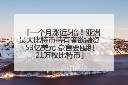 一个月涨近5倍！亚洲最大比特币持有者欲融资53亿美元 豪言要囤积21万枚比特币