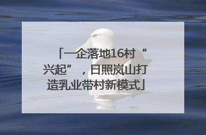 一企落地16村“兴起”，日照岚山打造乳业带村新模式