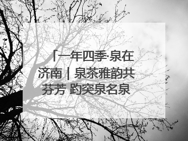 一年四季·泉在济南｜泉茶雅韵共芬芳 趵突泉名泉茗茶品鉴会举行