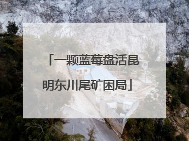 一颗蓝莓盘活昆明东川尾矿困局
