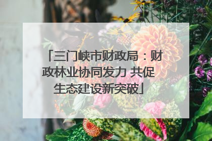 三门峡市财政局：财政林业协同发力 共促生态建设新突破