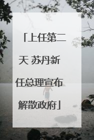 上任第二天 苏丹新任总理宣布解散政府