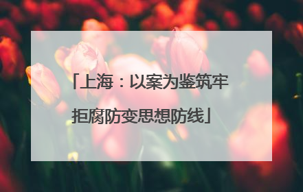 上海：以案为鉴筑牢拒腐防变思想防线