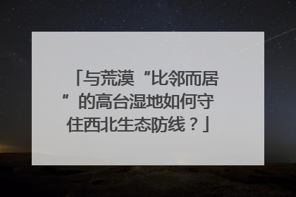 与荒漠“比邻而居”的高台湿地如何守住西北生态防线？