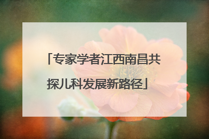 专家学者江西南昌共探儿科发展新路径