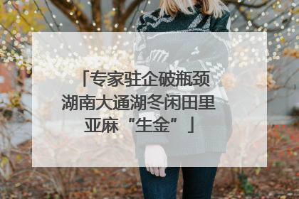 专家驻企破瓶颈 湖南大通湖冬闲田里亚麻“生金”