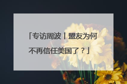 专访周波丨盟友为何不再信任美国了？