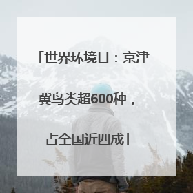 世界环境日：京津冀鸟类超600种，占全国近四成