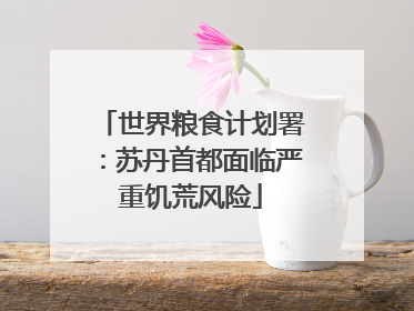 世界粮食计划署：苏丹首都面临严重饥荒风险