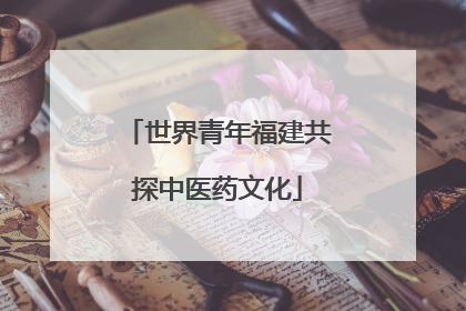 世界青年福建共探中医药文化