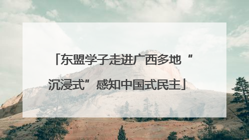 东盟学子走进广西多地“沉浸式”感知中国式民主