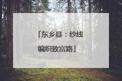 东乡县：纱线编织致富路
